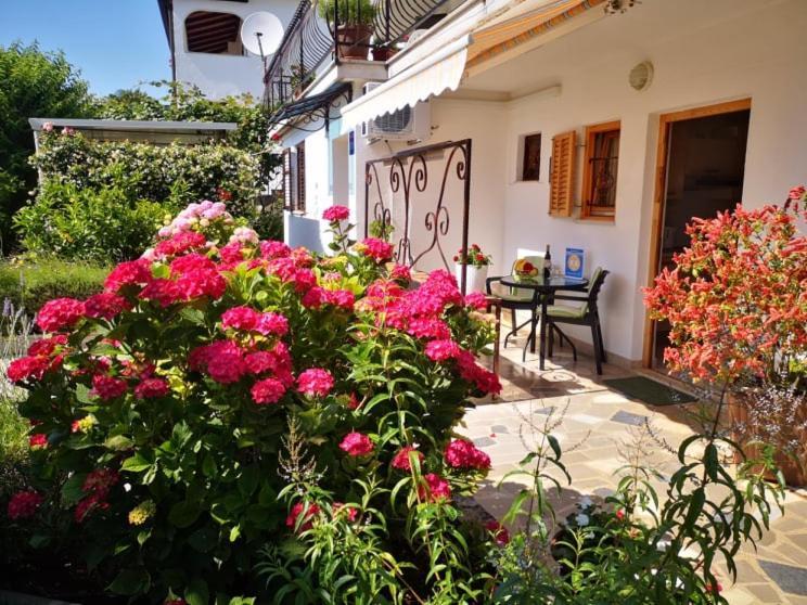 Apartmani Rita Studio Novigrad Istria Exterior foto