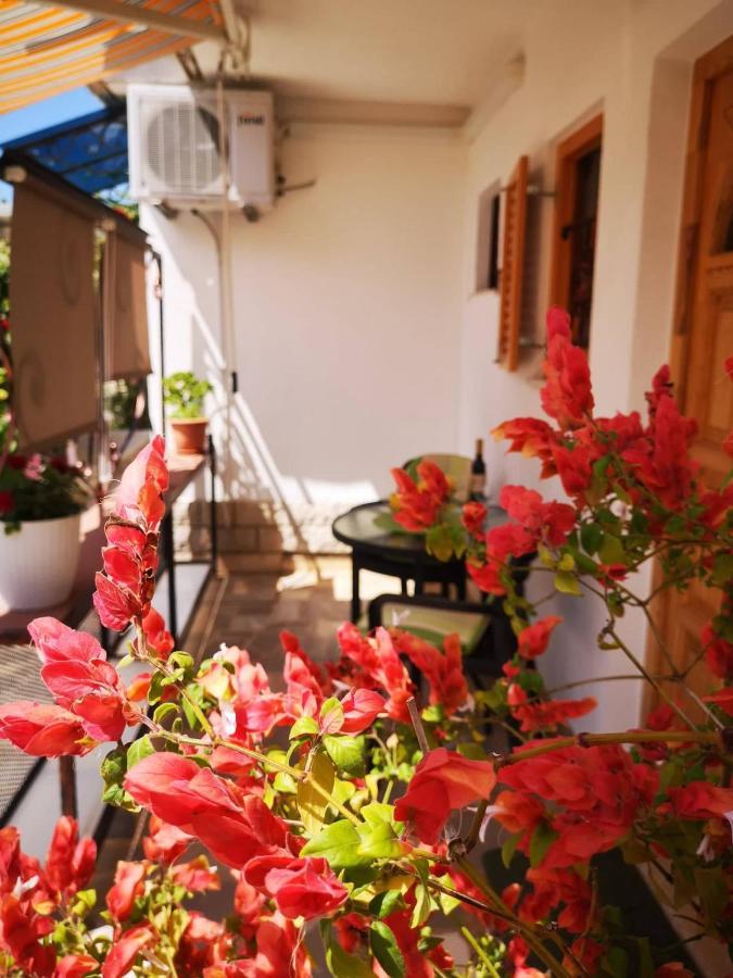 Apartmani Rita Studio Novigrad Istria Exterior foto