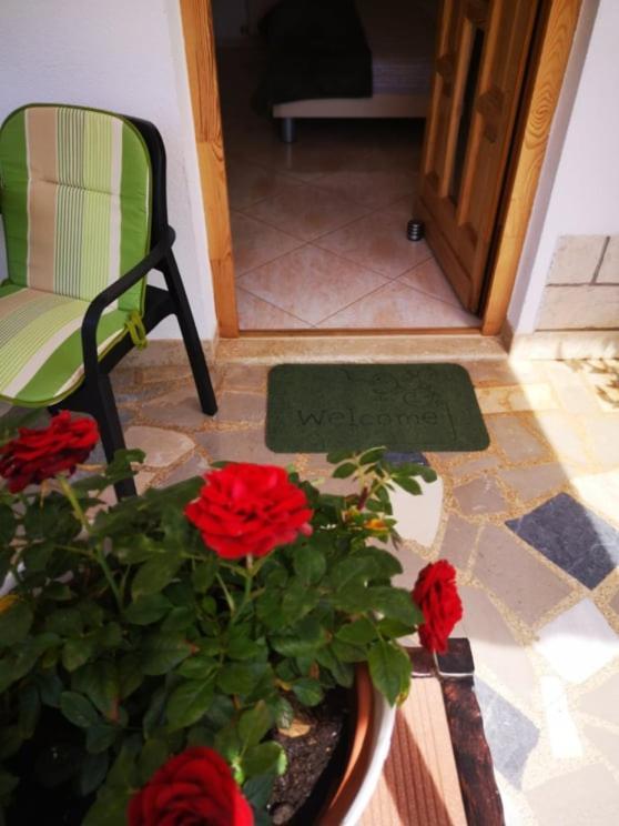 Apartmani Rita Studio Novigrad Istria Exterior foto