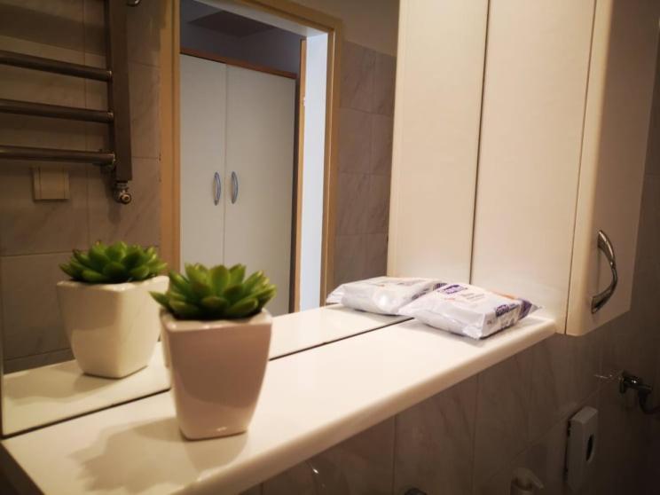 Apartmani Rita Studio Novigrad Istria Exterior foto