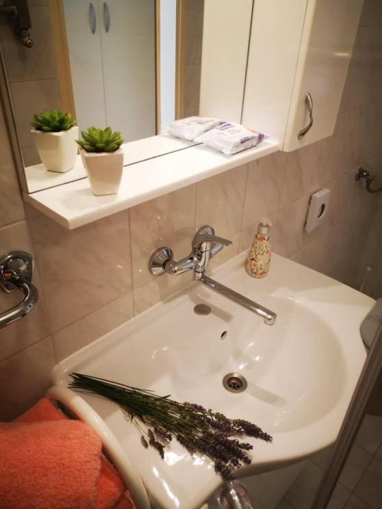 Apartmani Rita Studio Novigrad Istria Exterior foto