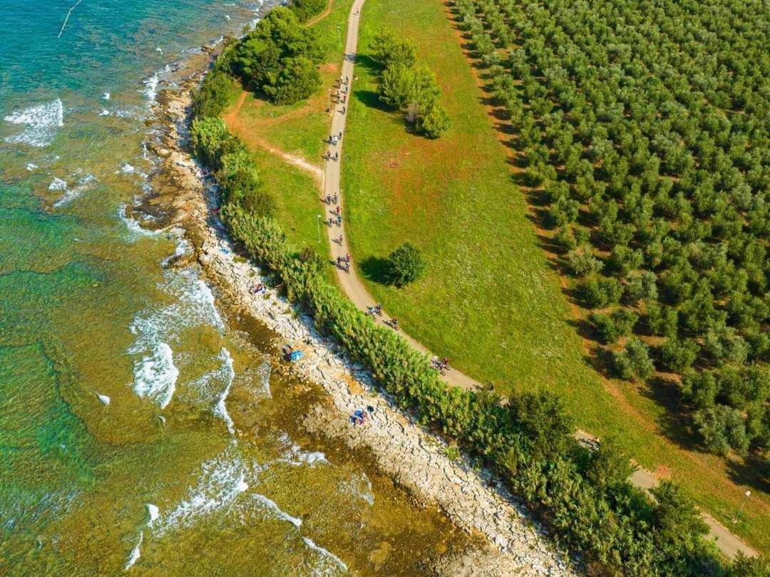 Apartmani Rita Studio Novigrad Istria Exterior foto