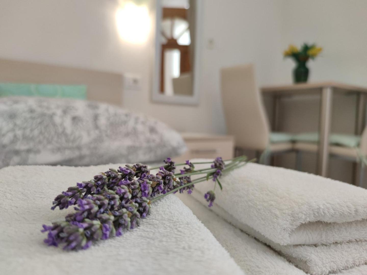Apartmani Rita Studio Novigrad Istria Exterior foto