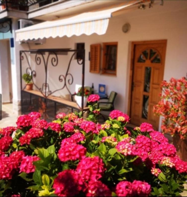 Apartmani Rita Studio Novigrad Istria Exterior foto