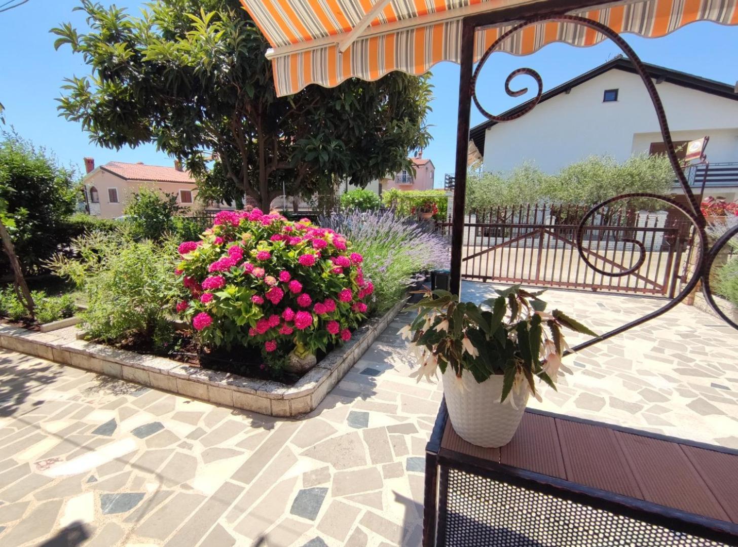 Apartmani Rita Studio Novigrad Istria Exterior foto