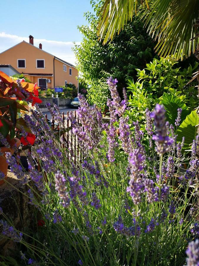 Apartmani Rita Studio Novigrad Istria Exterior foto
