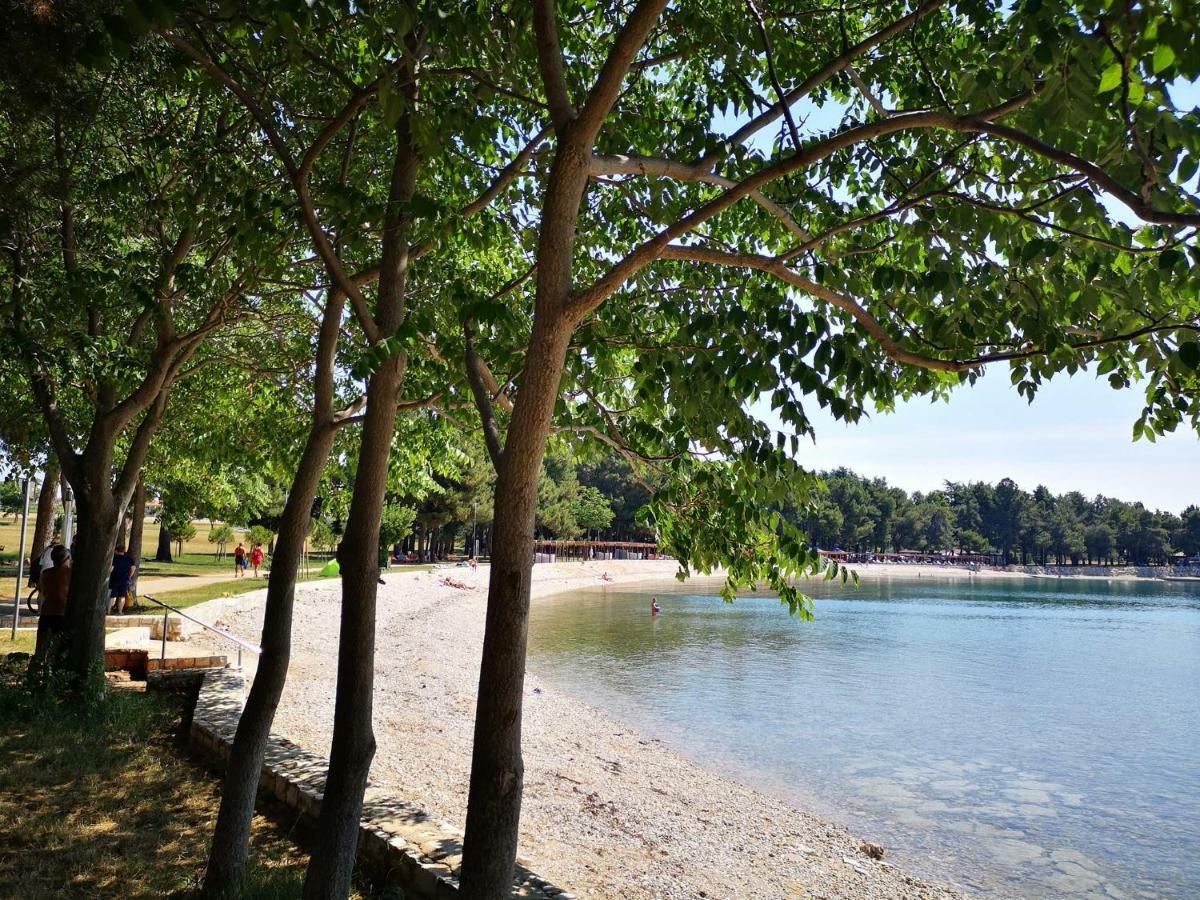 Apartmani Rita Studio Novigrad Istria Exterior foto